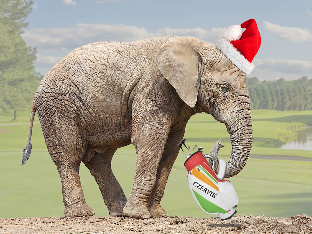Amazon.com: Christmas Game White Elephant Gift Exchange Xmas Holiday Party  Decoration Supplies : Toys & Games