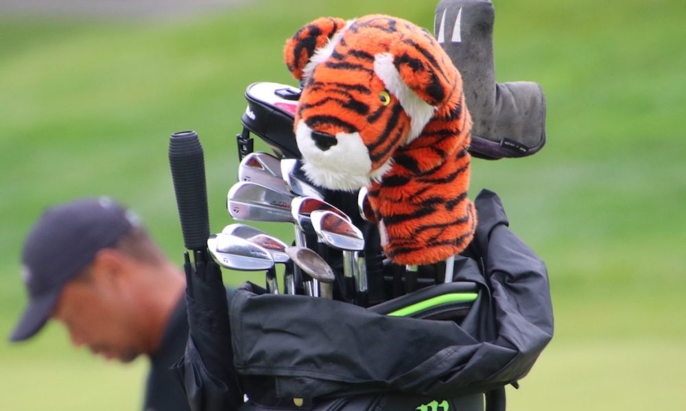 Bag for Woods, Tiger - 2024-May